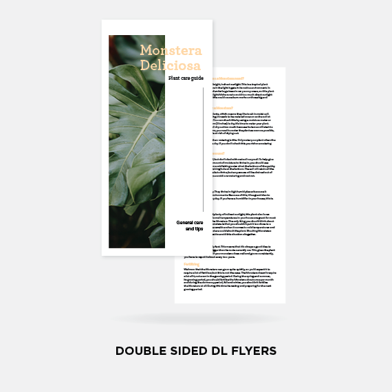 Double Sided DL Flyers